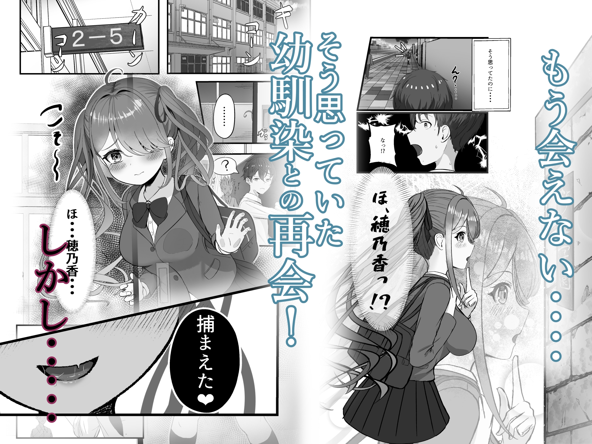 【二つの心と一つのからだ～succubus complex】