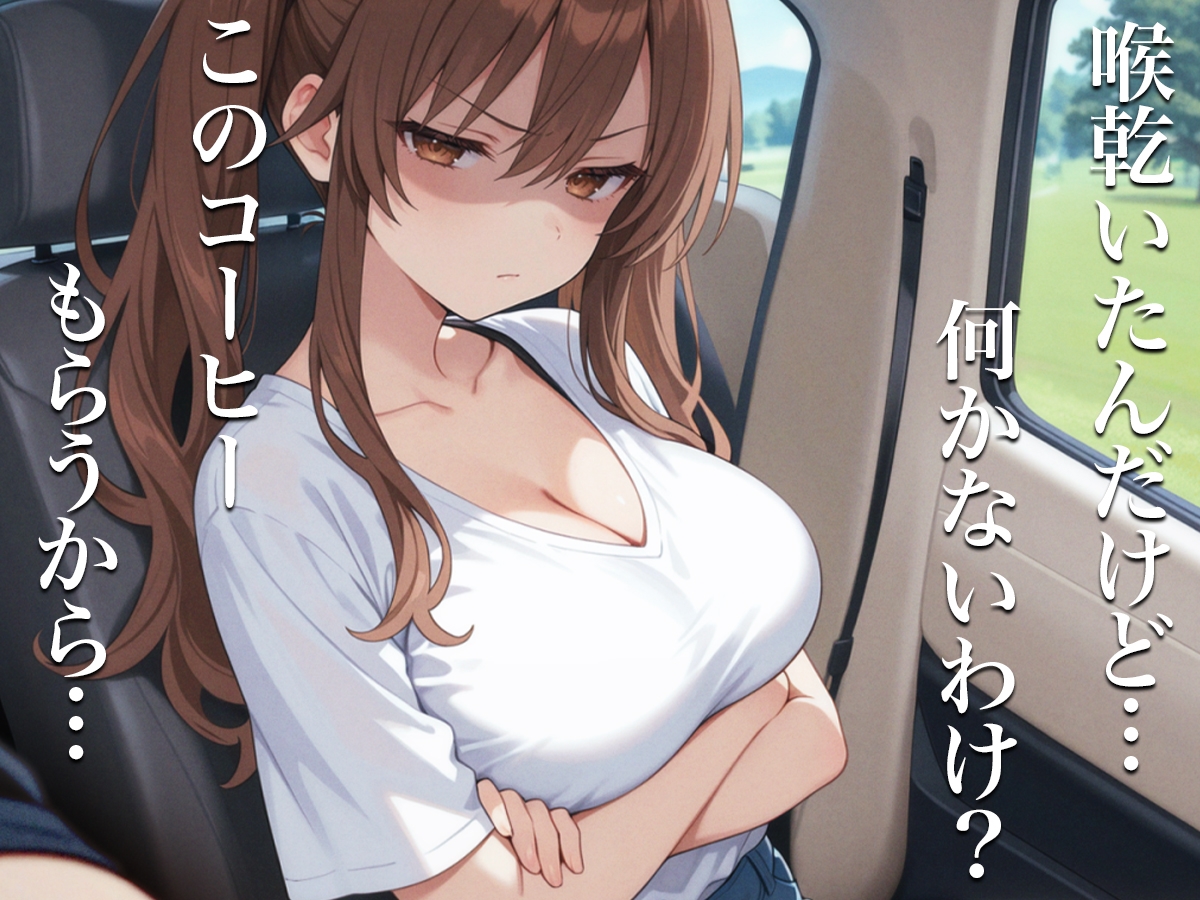 クソ女に下剤盛って脱糞ドライブ〜君が漏らす瞬間を、ずっと見たかった…惨めに漏らして、ざまぁぁwww〜