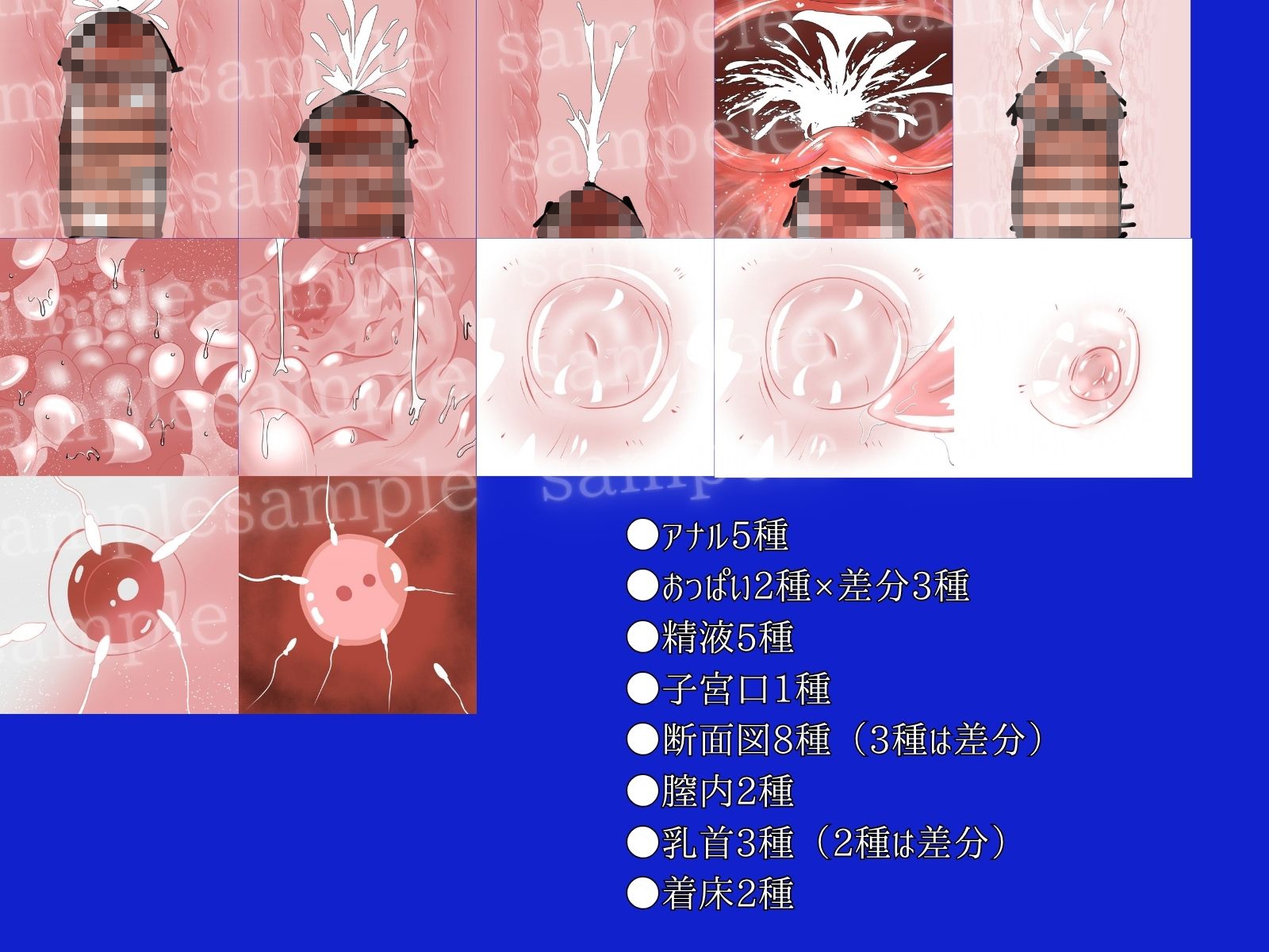 【商用可】クリエイター向け 忙しいあなたのための一番面倒くさくないR-18素材集(断面図、乳首、アナル、膣内など)