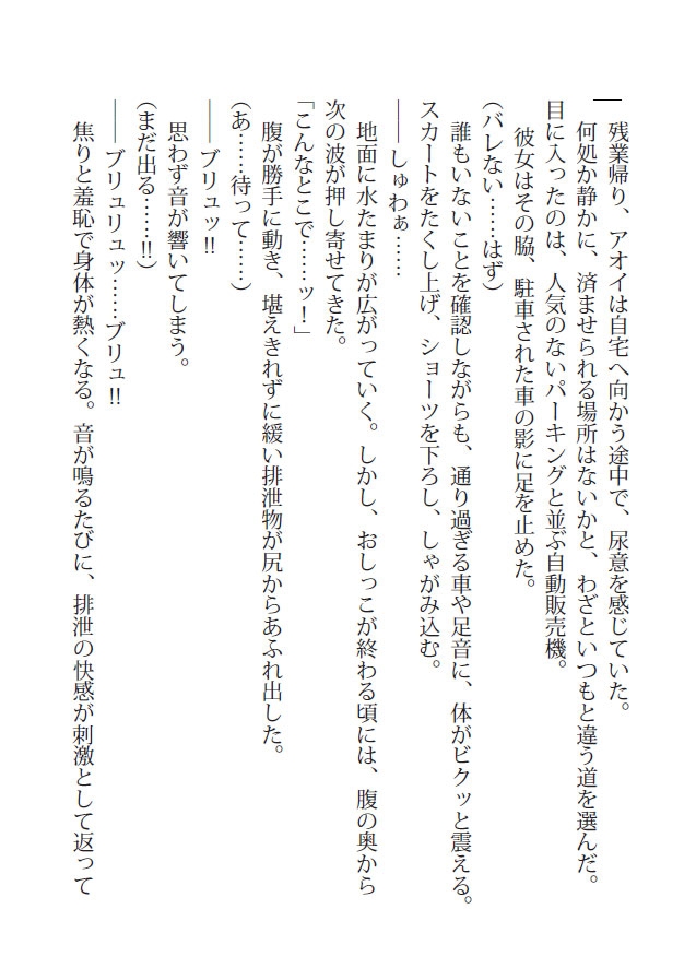 秘遊び - 完全版