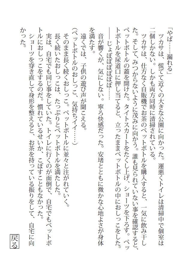 秘遊び - 完全版