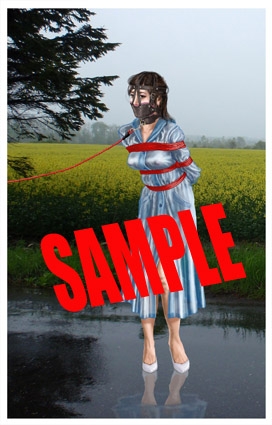 緊縛・着衣緊縛絵巻VOL.19