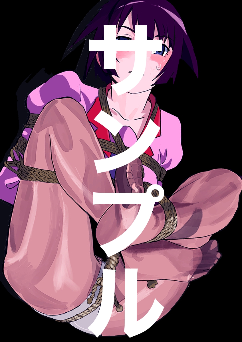 戦○ヶ原ひたぎSM緊縛画集4