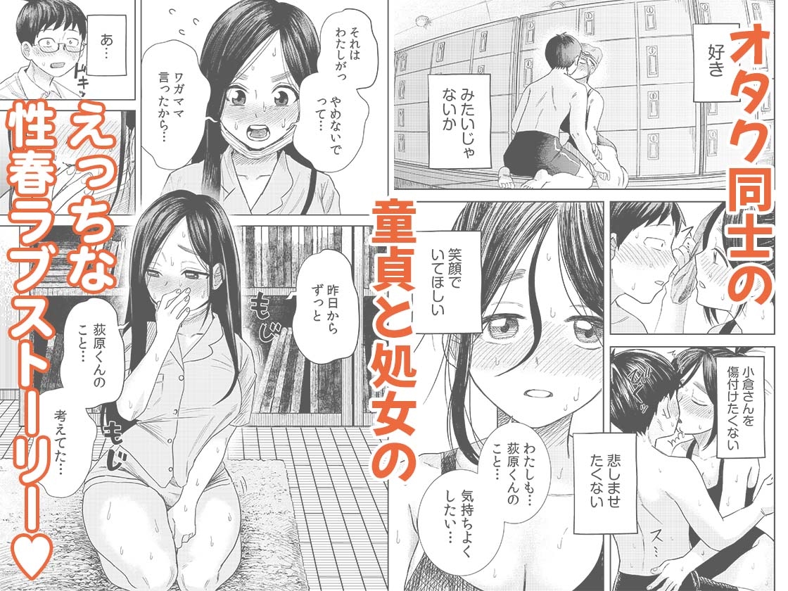 オタク同士の童貞処女がはじめてのセックスをする話 1