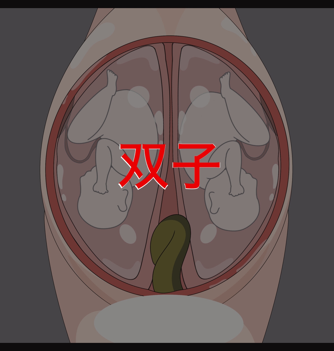 子宮妊婦アニメ フィストもあるよ