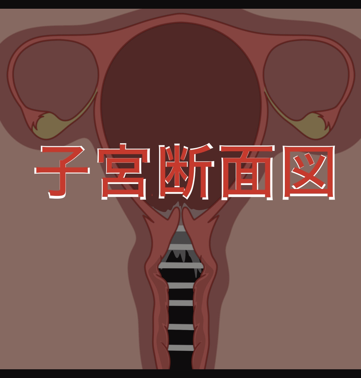 子宮妊婦アニメ フィストもあるよ