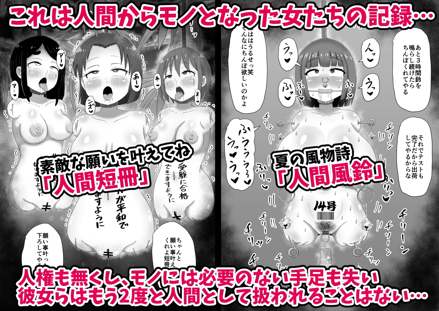 人間からモノになった女たち