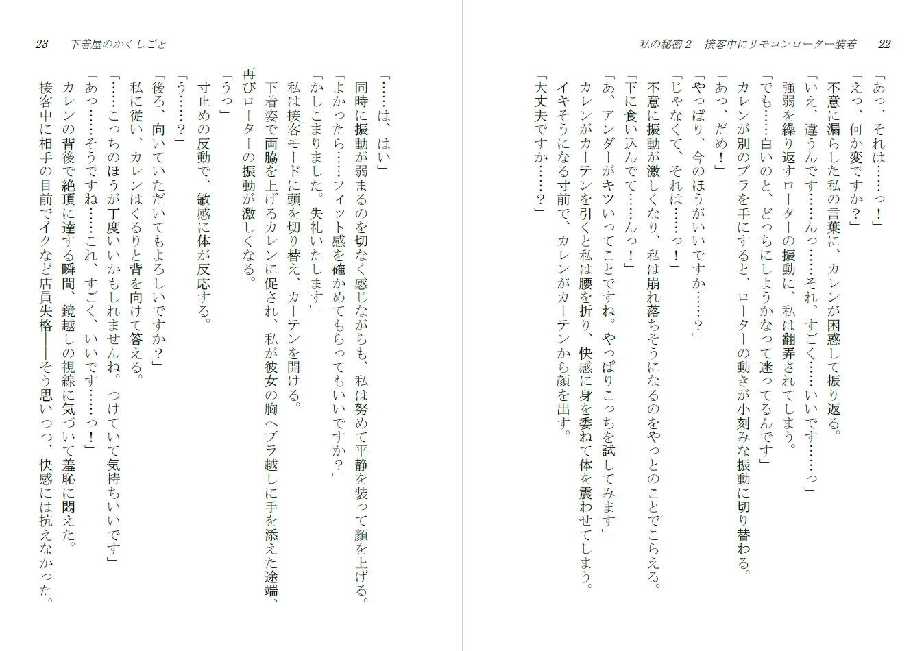 下着屋のかくしごと