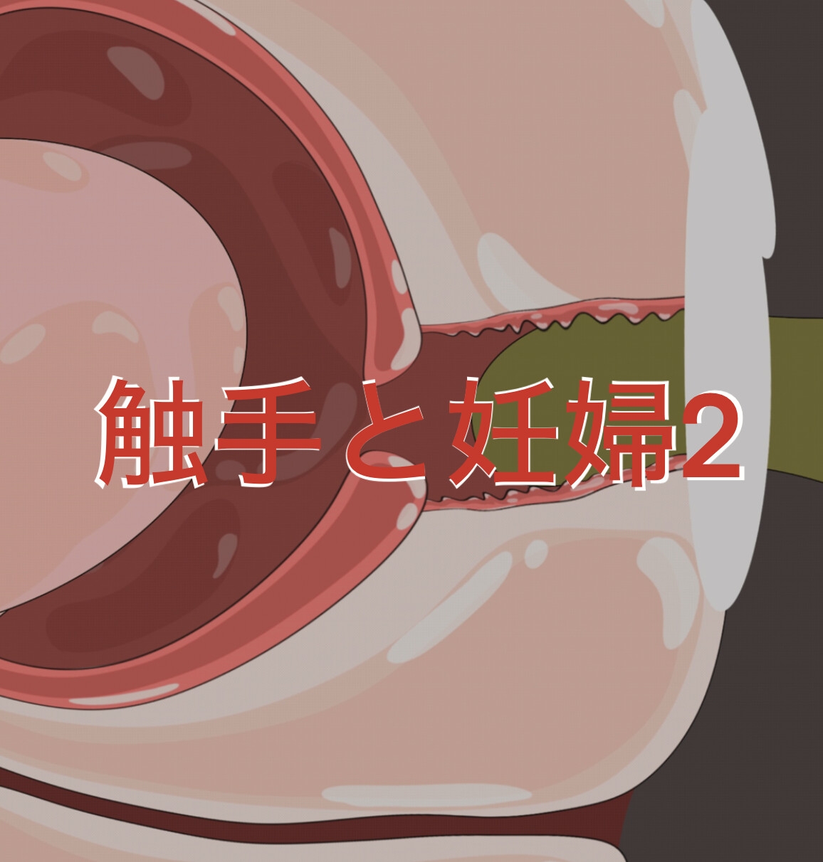 妊婦まとめ アニメーション5作！