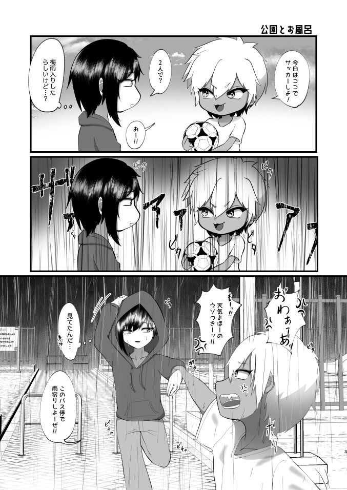 支援サイトのライメロまとめ本