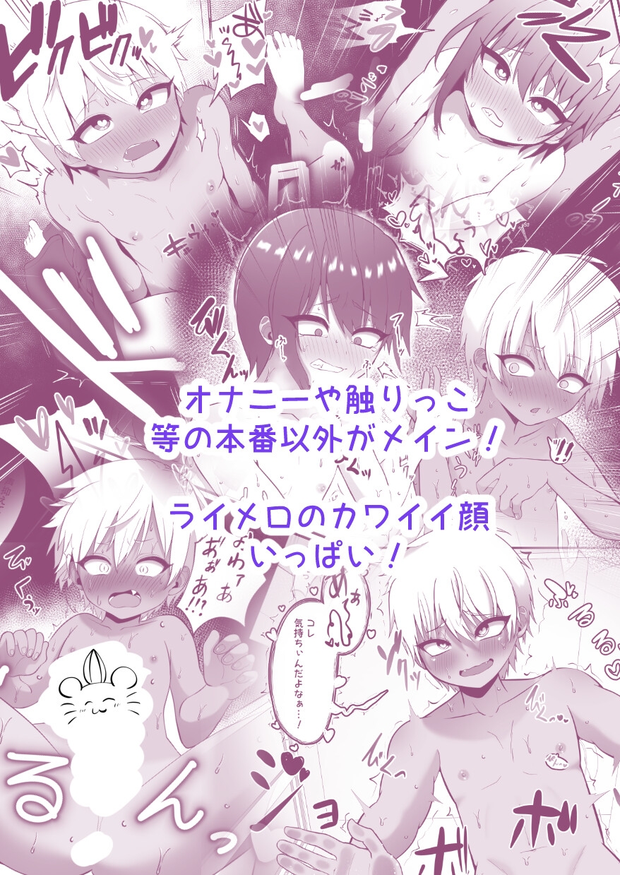 支援サイトのライメロまとめ本