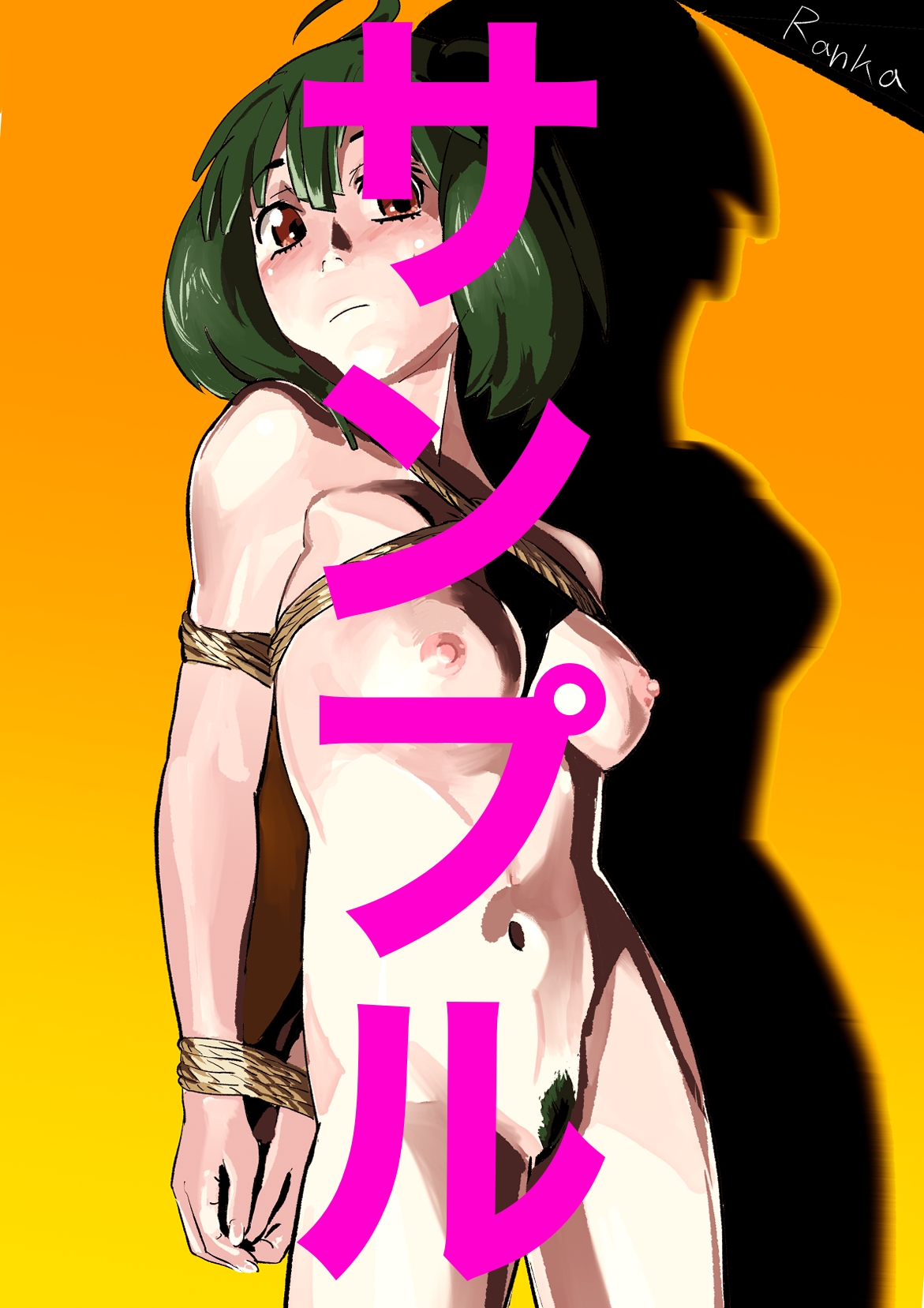 21世紀アニメキャラSM緊縛画集5