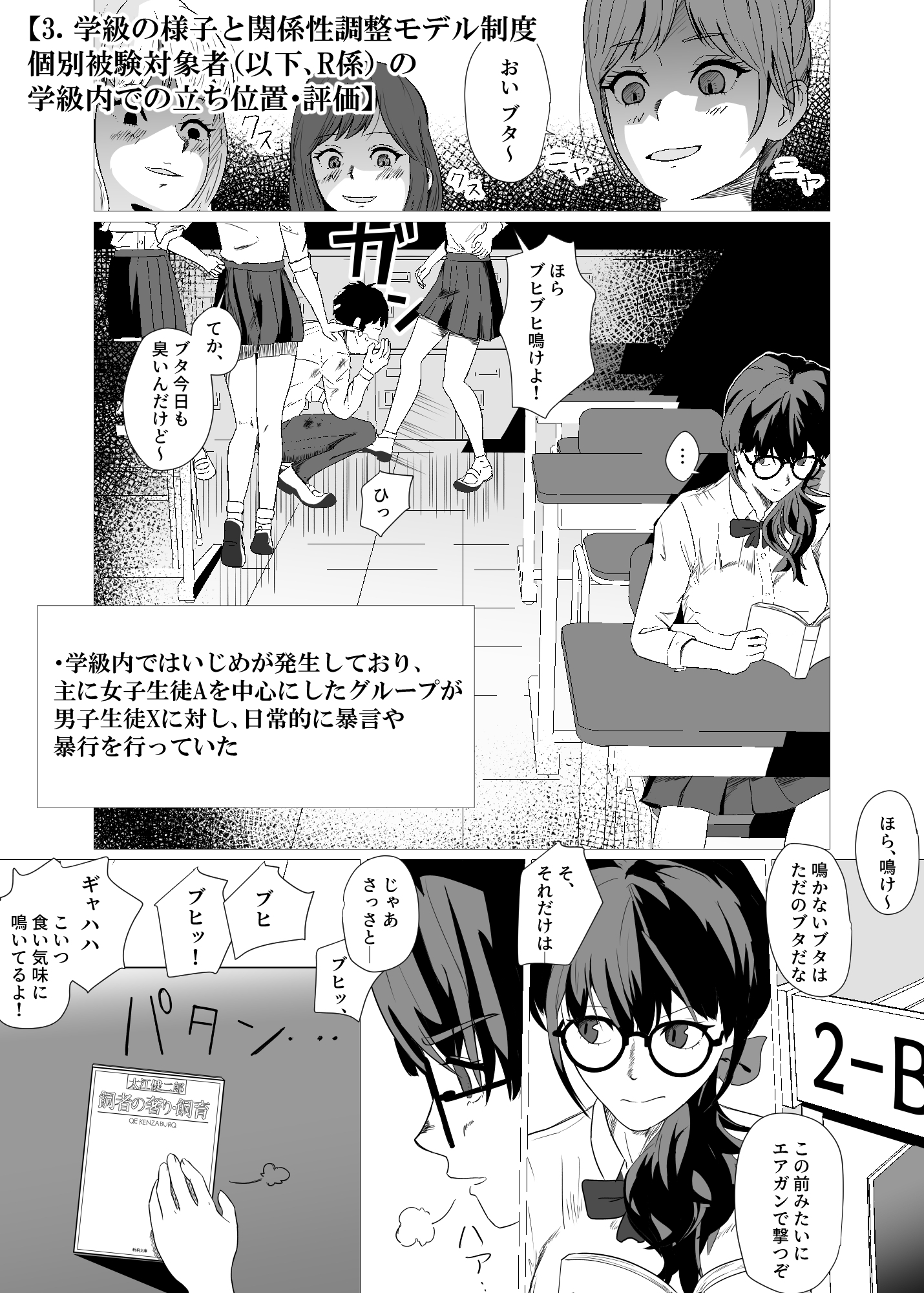 「関係性調整モデル制度」導入に関する試行的運用報告書(制度概要記載)