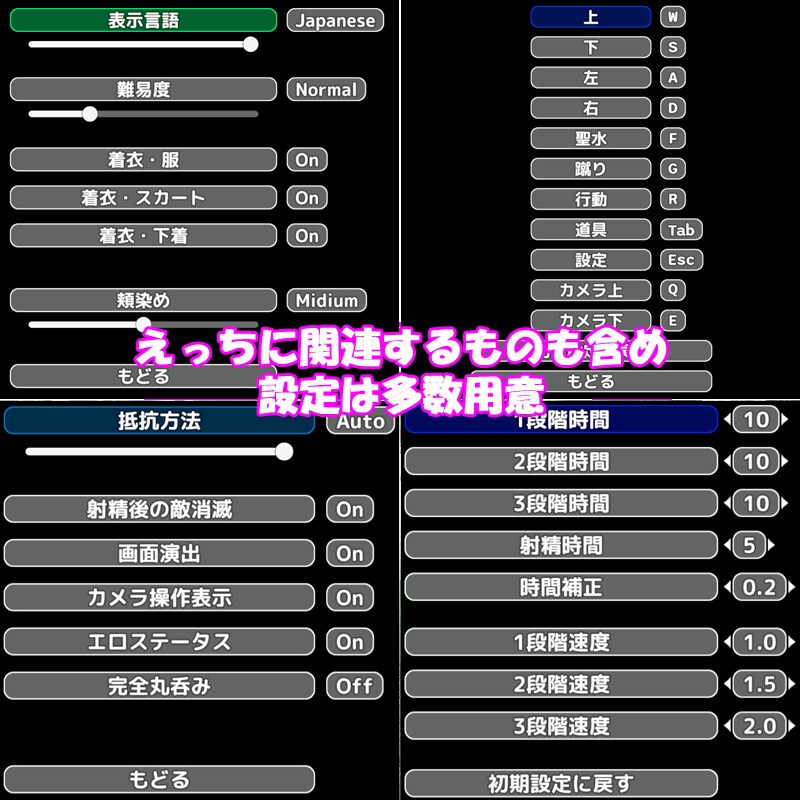 聖女は淫魔の時を