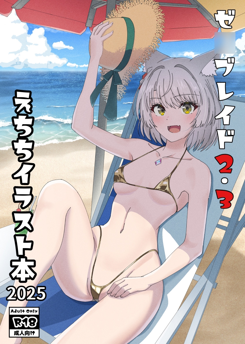 ゼ○ブレイド2・3えちちイラスト本2025