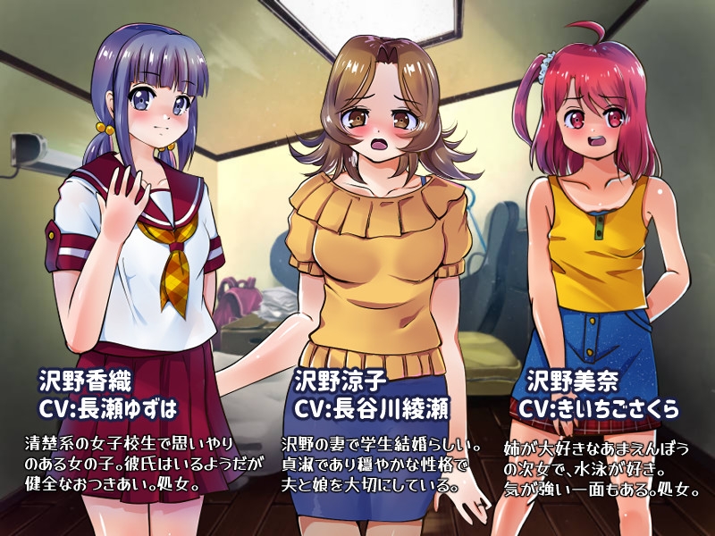 不法侵入R~夫が出張中の女家族を性欲のままに制圧~