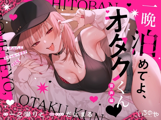 一晩泊めてよ、オタクくん 音声編