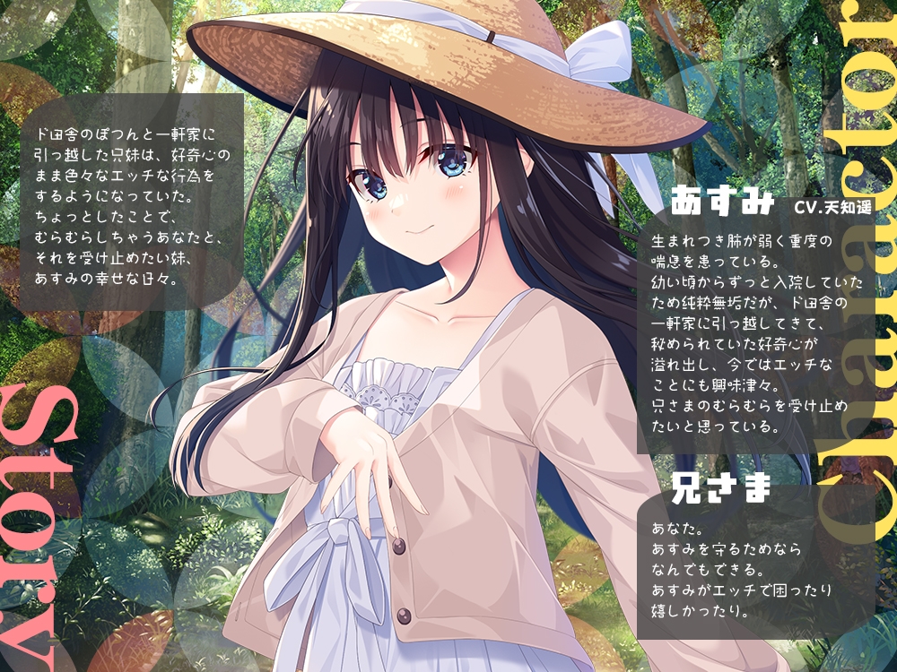 【2025年09月28日迄限定立ち絵集】兄さまのむらむらした気持ちを全部受け止めたい妹