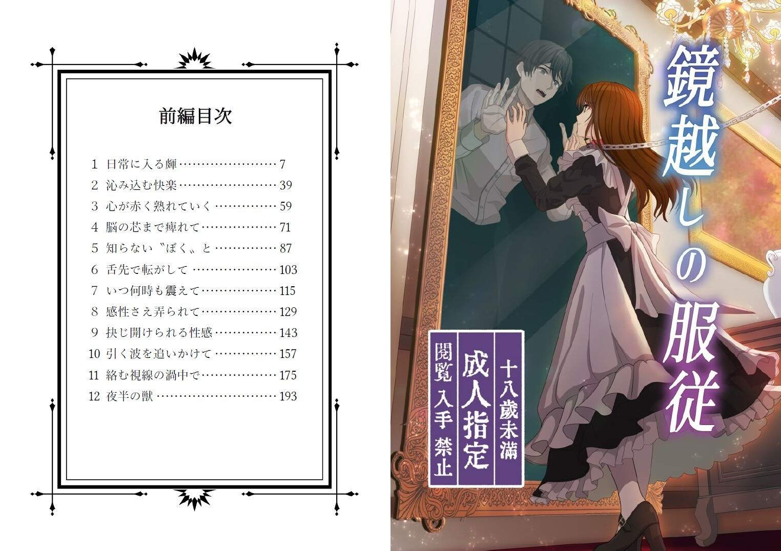 鏡越しの服従(前編)