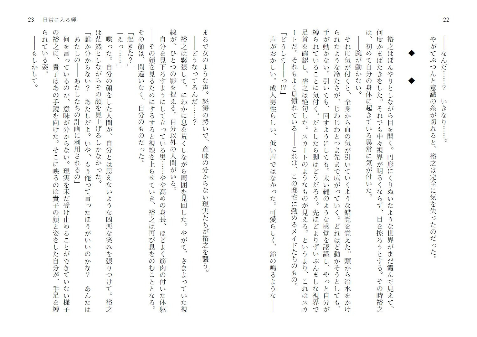 鏡越しの服従(前編)