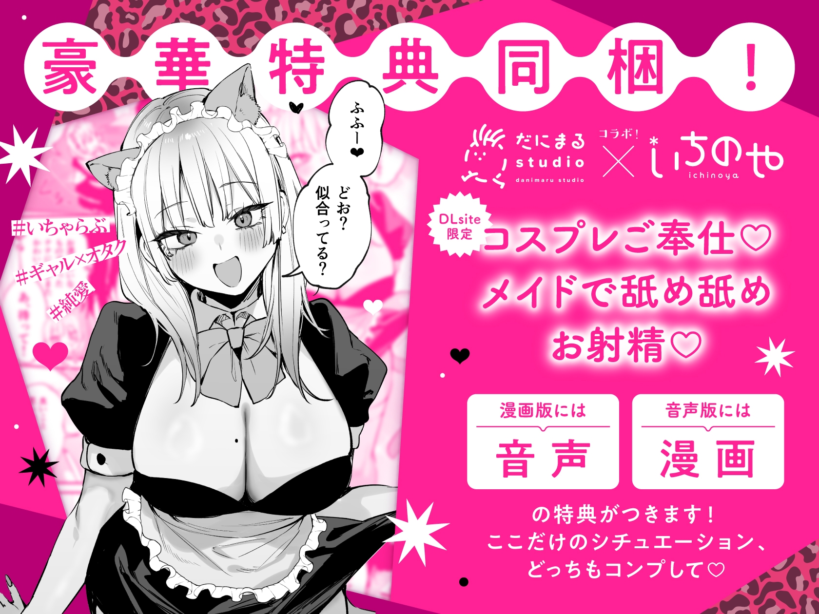 一晩泊めてよ、オタクくん