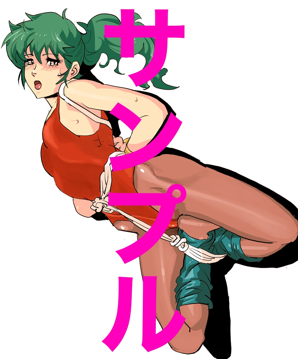 アニメキャラクターSM・緊縛・ボンデージ全集