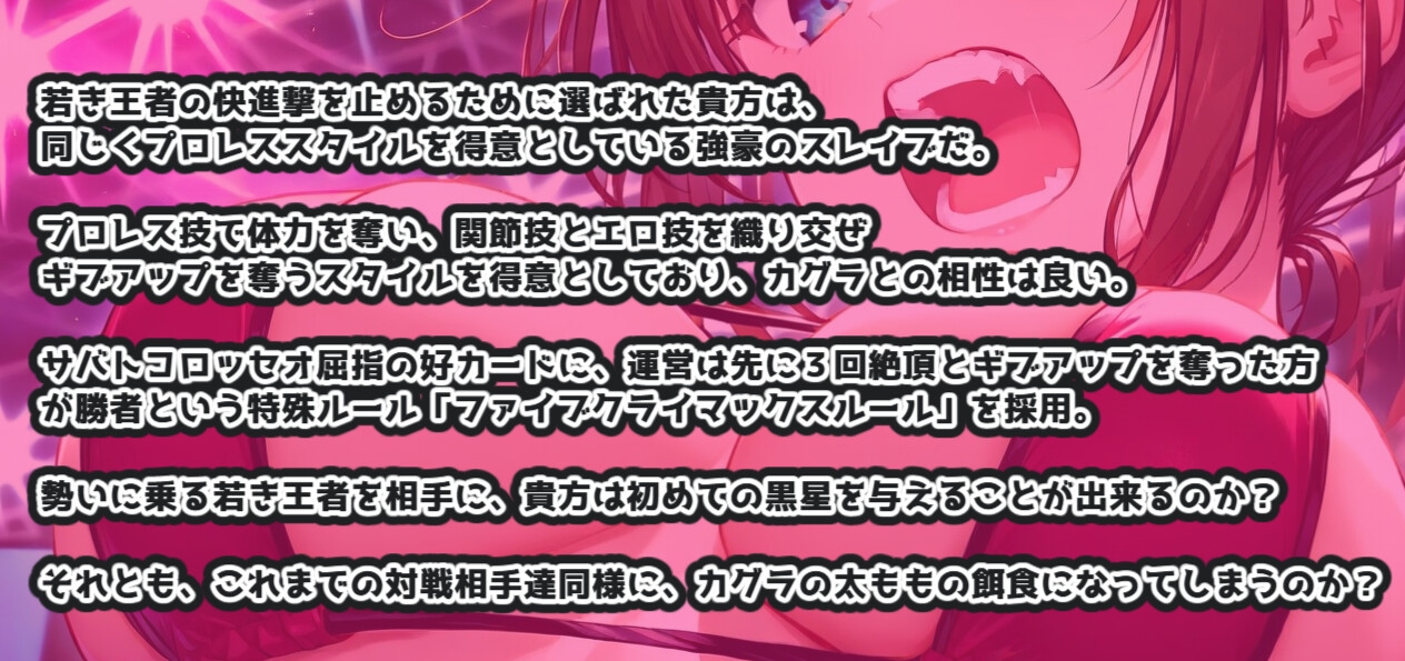 バトルファック12&13 お得なバリューSET!!!/まろねあいすセレクション