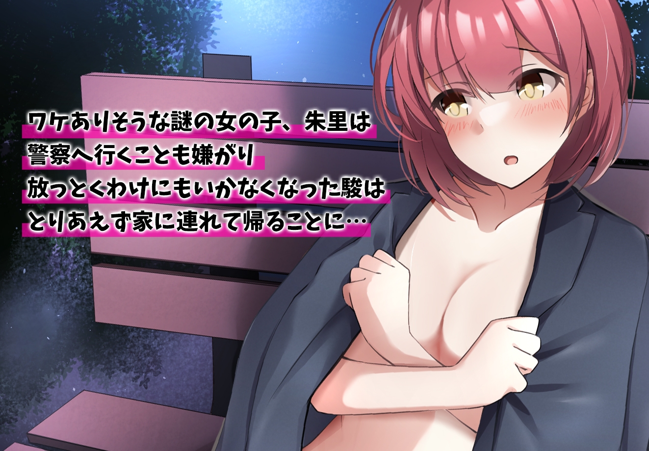 ある日、全裸放置されていた女の子を飼うことになった僕の話