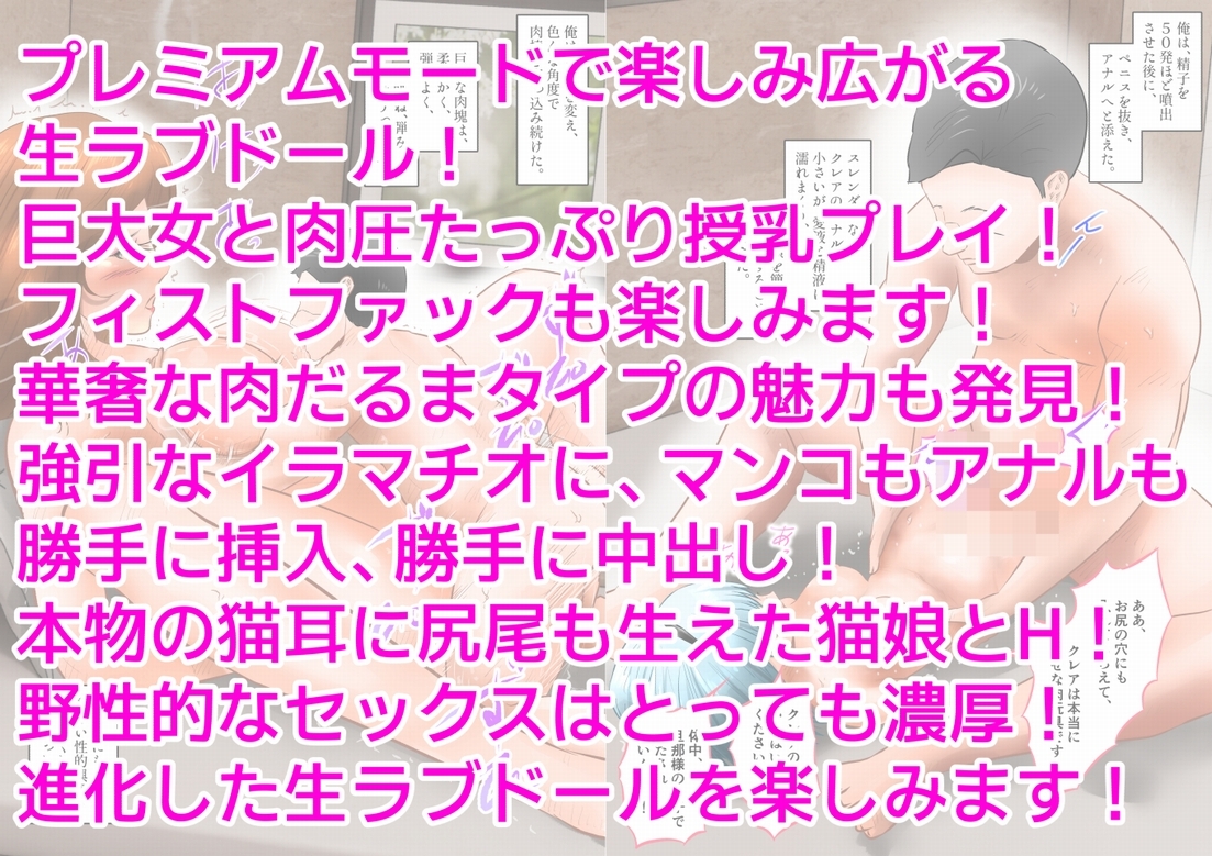 生ラブドールで色んな中出しプレイを楽しんだ。 下巻