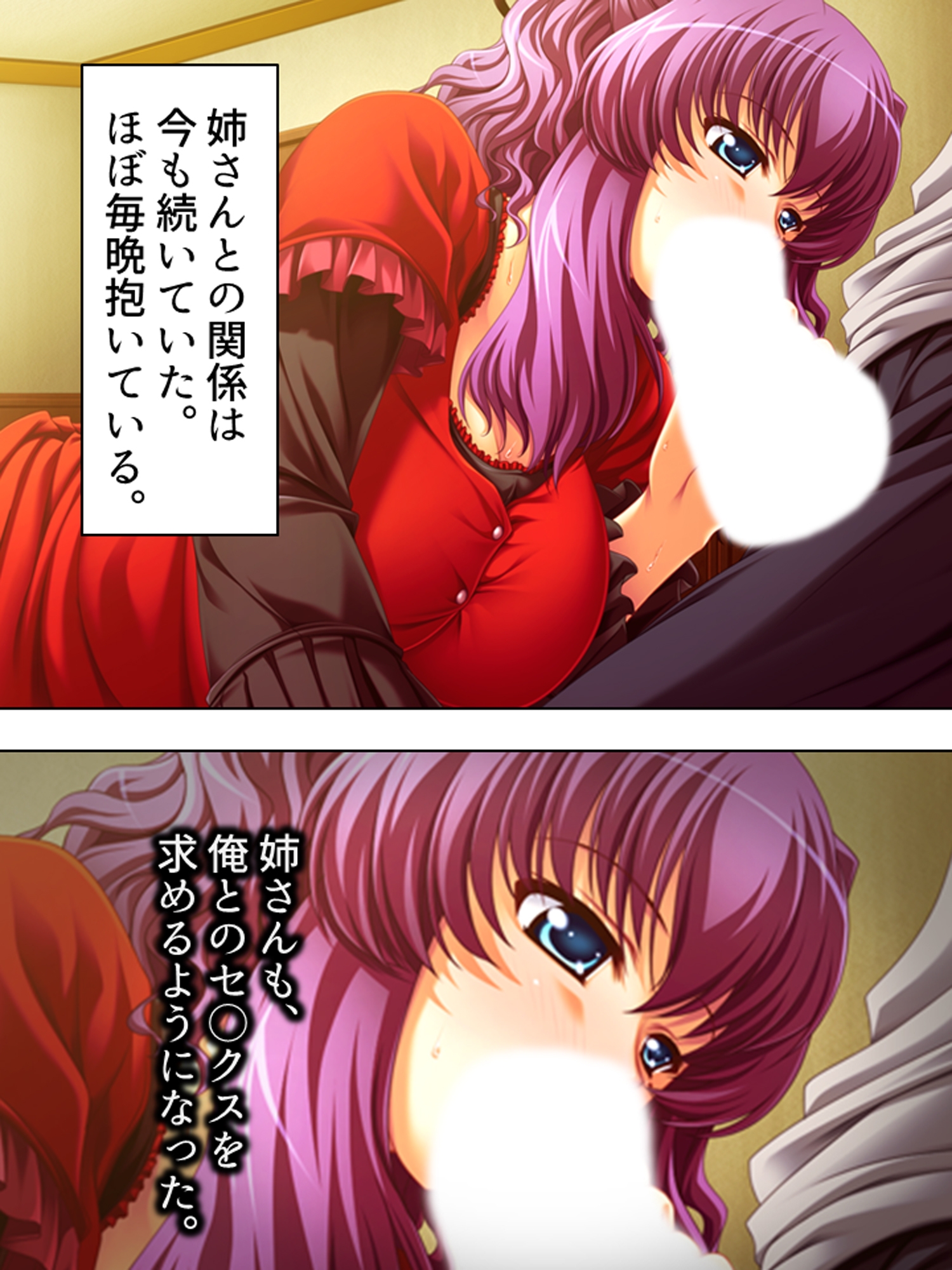 姉夫婦の危機に勃てよ弟！実の姉へエッチのレッスン！