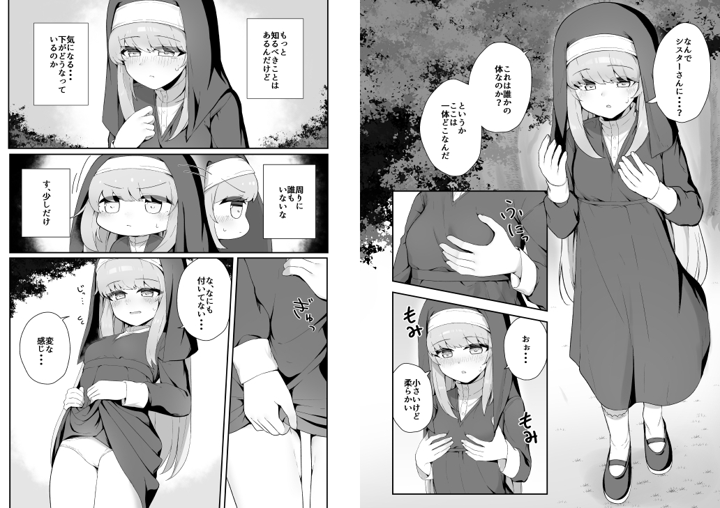 TSシスターさんのえっちなお仕事