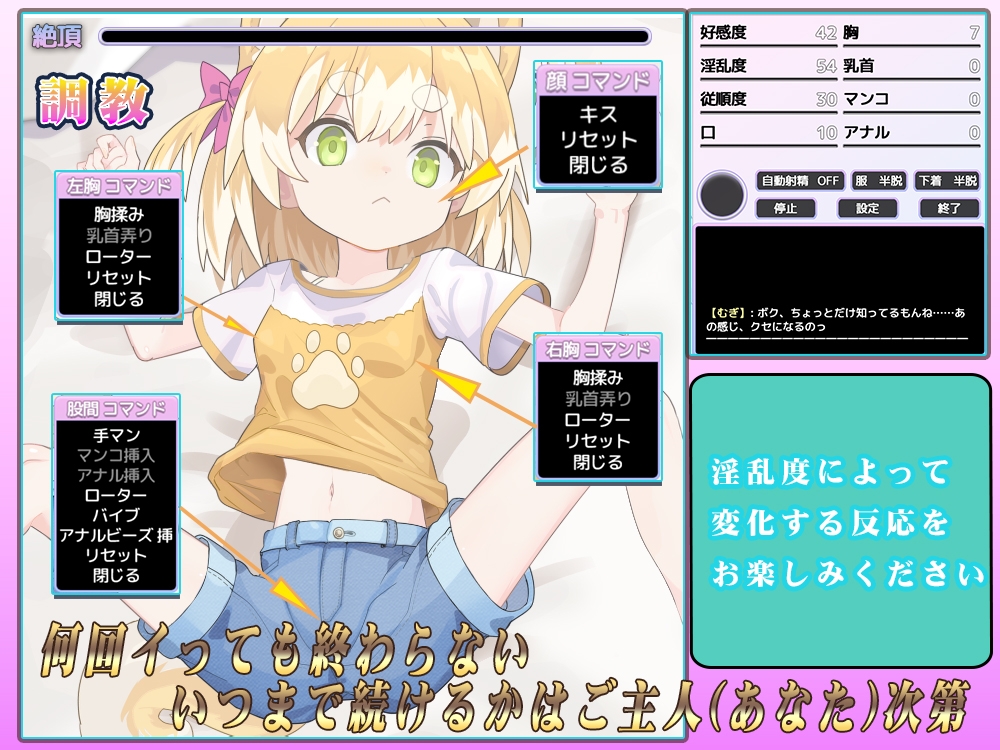 メス犬、拾いました。