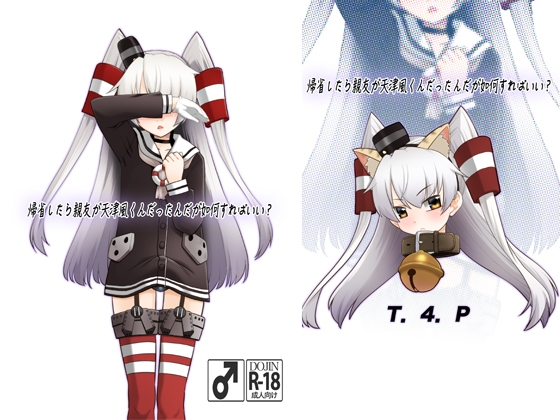 帰省したら親友が天津風くんだったんだが如何すればいい?