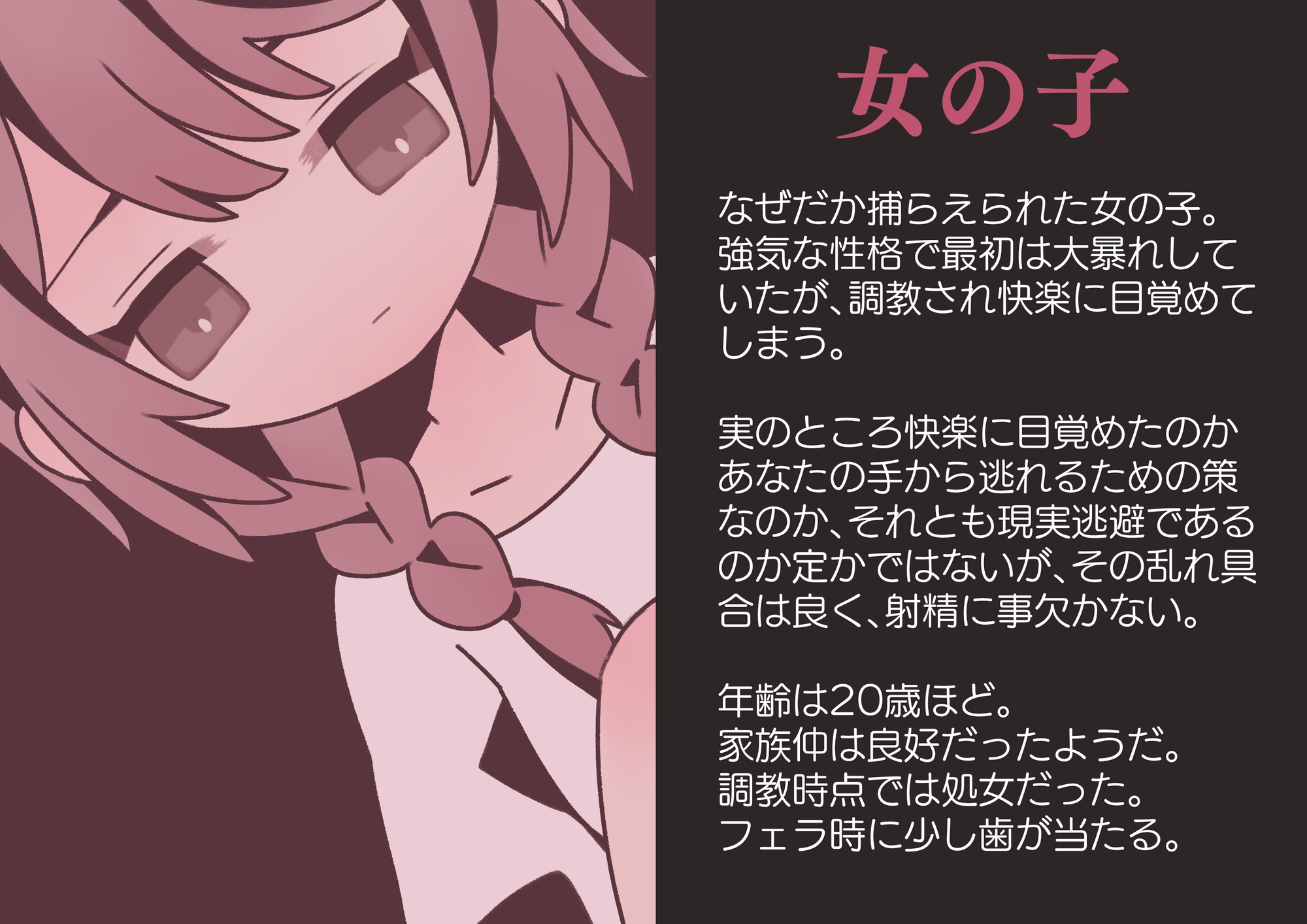 ある女の子の、監禁、調教、快楽堕ち