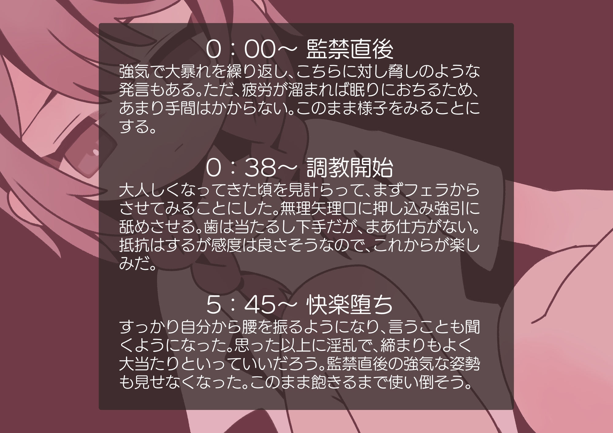 ある女の子の、監禁、調教、快楽堕ち