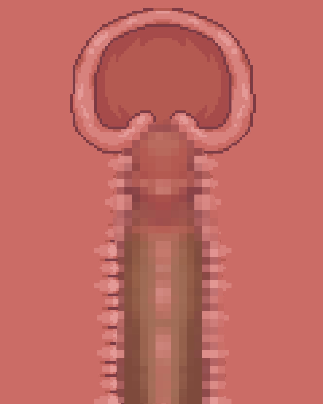 クリエイターのための”ドット”断面図