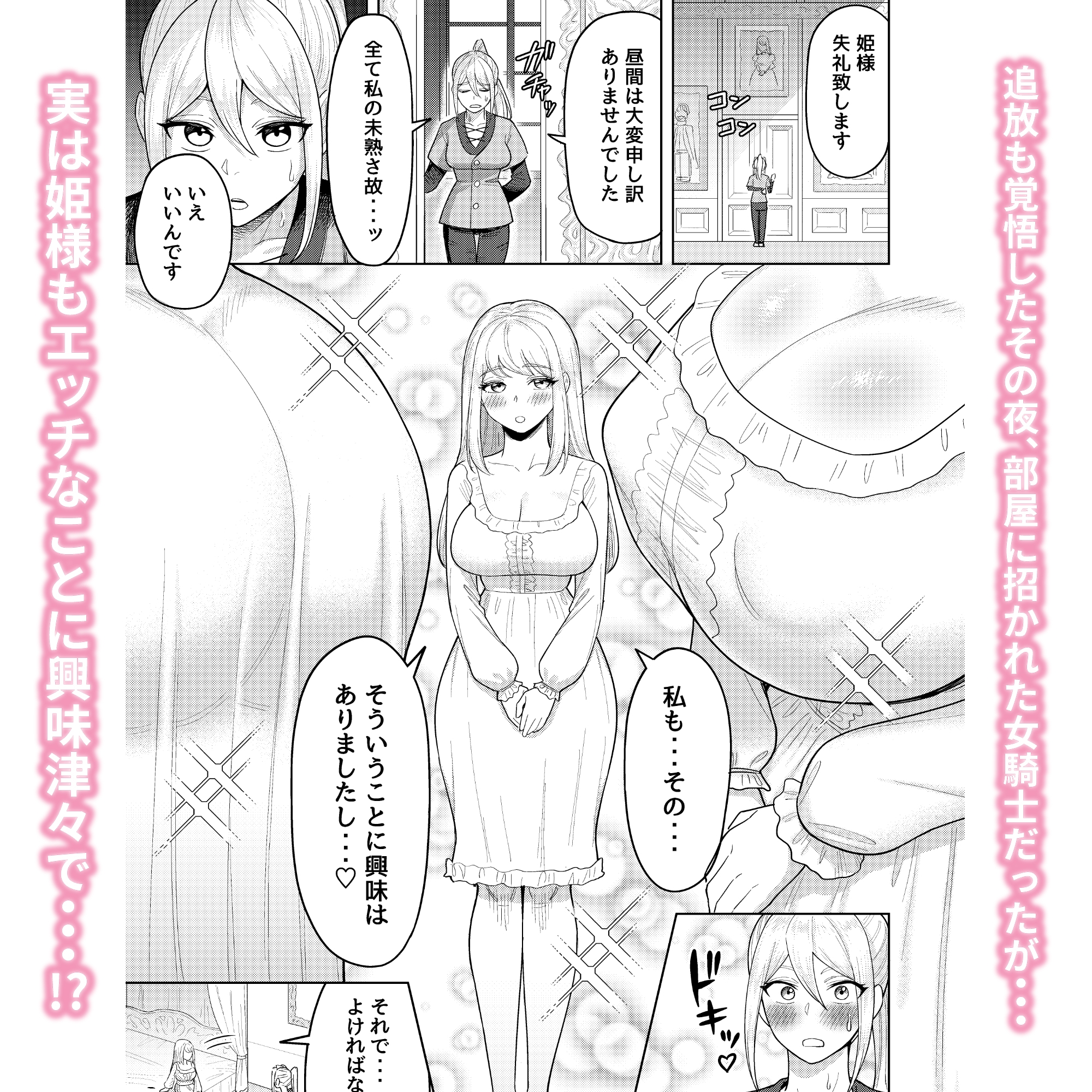 ふたなり女騎士とメス姫