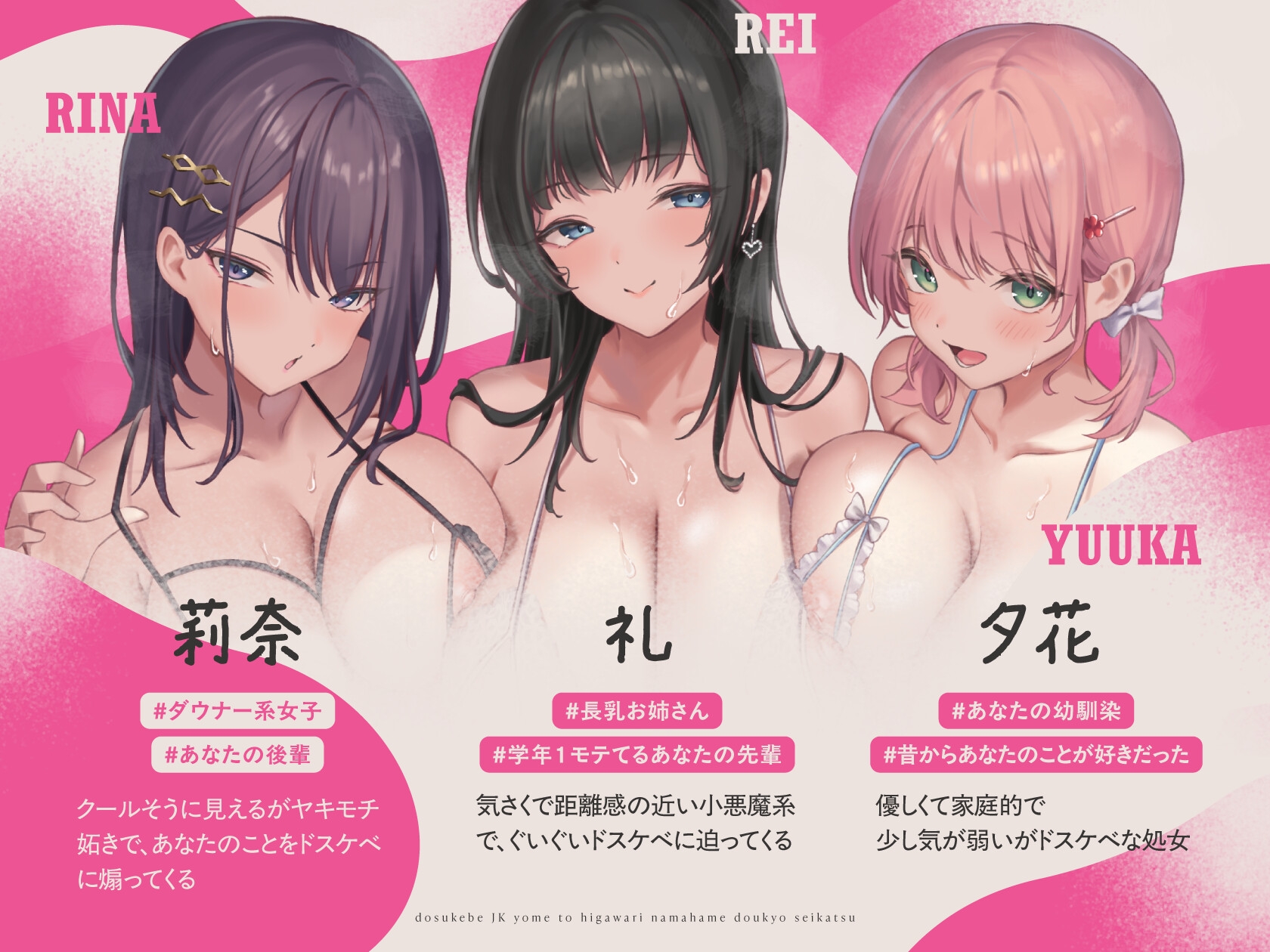 JK嫁ハーレム～ドスケベJK嫁と日替わり生ハメ同居性活～【10日間限定ドスケベイラスト特典付き❗2025年11月7日23:59まで】