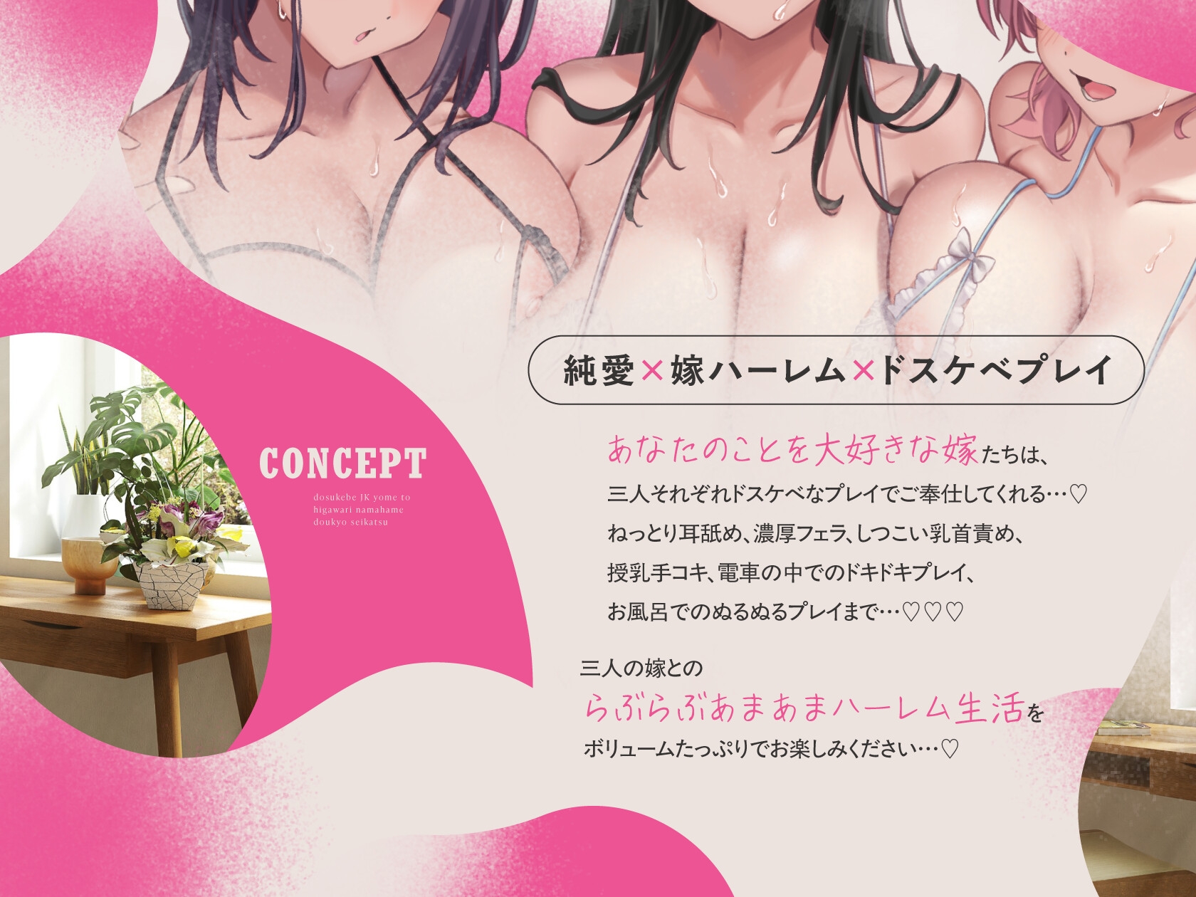 JK嫁ハーレム～ドスケベJK嫁と日替わり生ハメ同居性活～【10日間限定ドスケベイラスト特典付き❗2025年11月7日23:59まで】