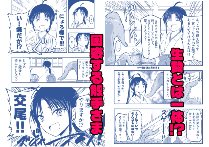 触手は贄に理解らせたい！