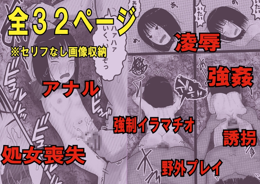 公園女○強○日記