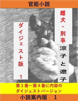 雌犬刑事 案内版1