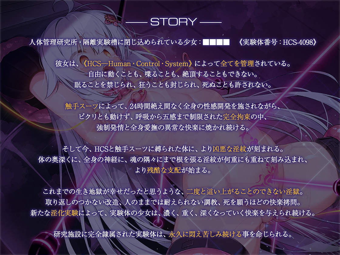 絶対服従プログラムVI 実験体4098 ~多重淫紋刻印実験~