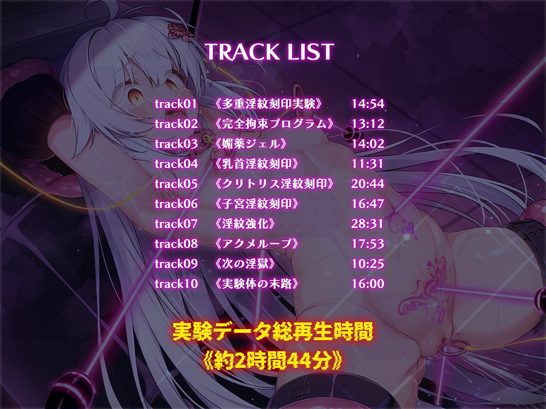 絶対服従プログラムVI 実験体4098 ~多重淫紋刻印実験~