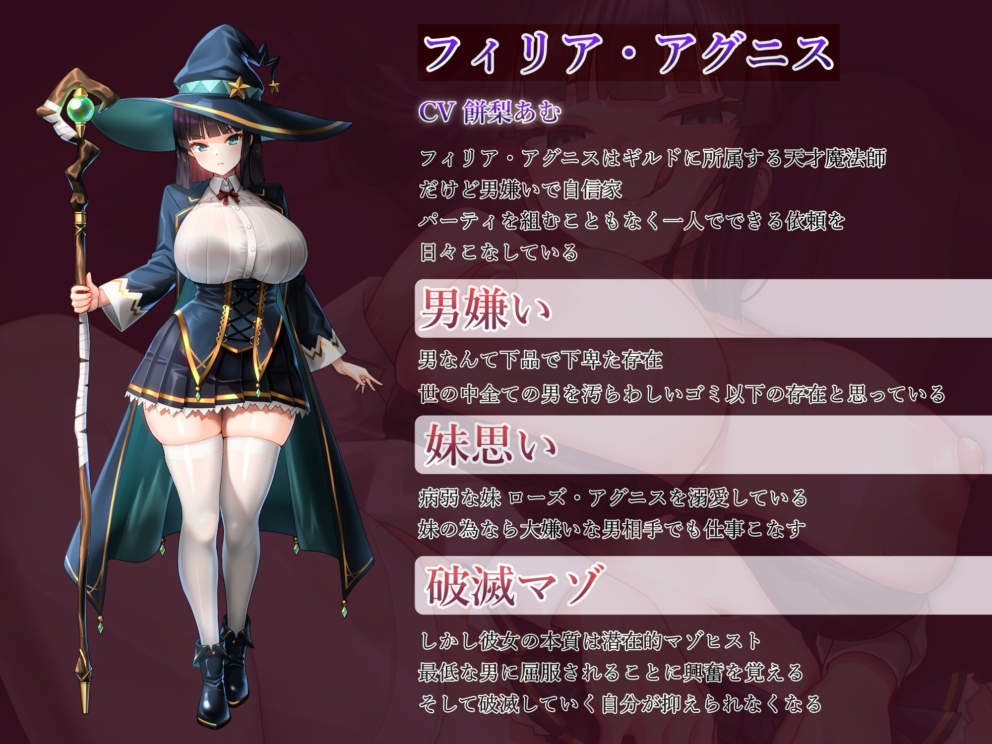 男嫌いの天才魔法師わからせ調教～究極の淫乱破滅マゾ堕ち～