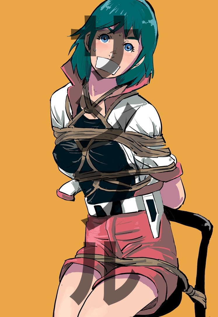 20世紀アニメキャラSM緊縛画集5