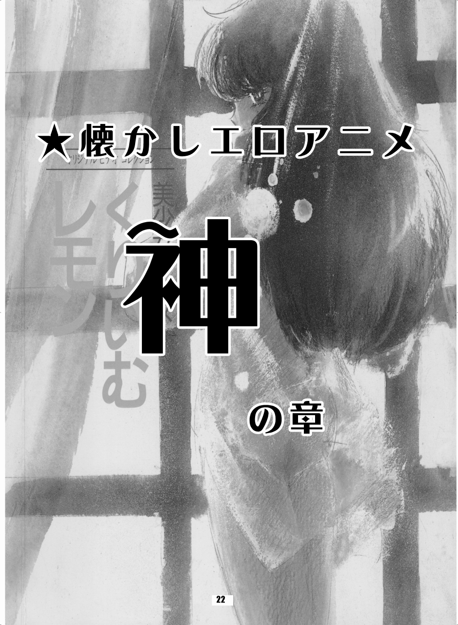 懐かしエロアニメ毒本