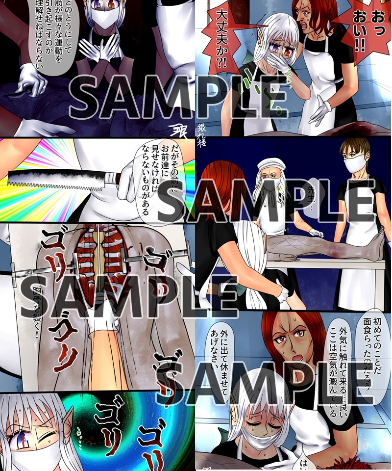 ろりむま 19 ビルレストの人体解剖生理学(前編)