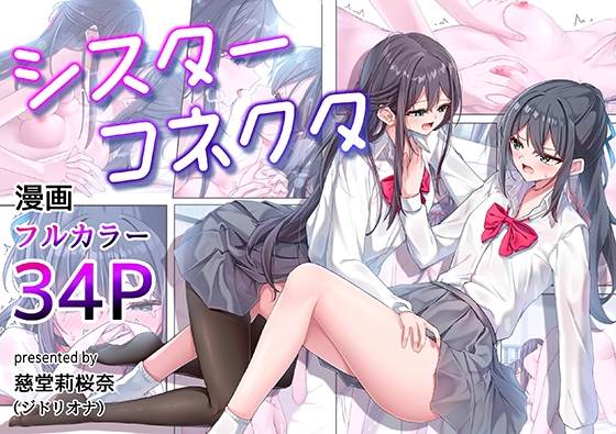 シスターコネクタ