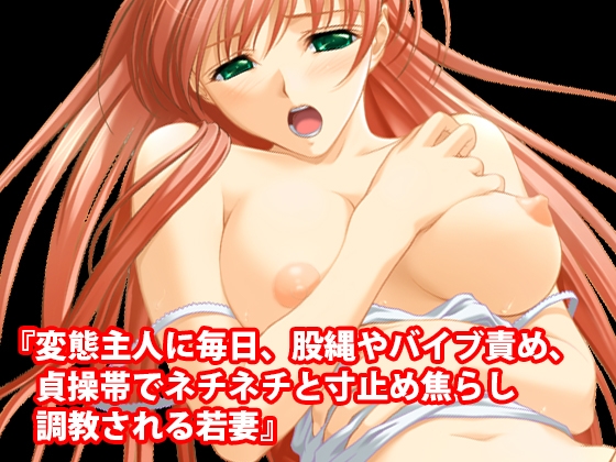 人妻寸止め快楽地獄コレクション11作セット